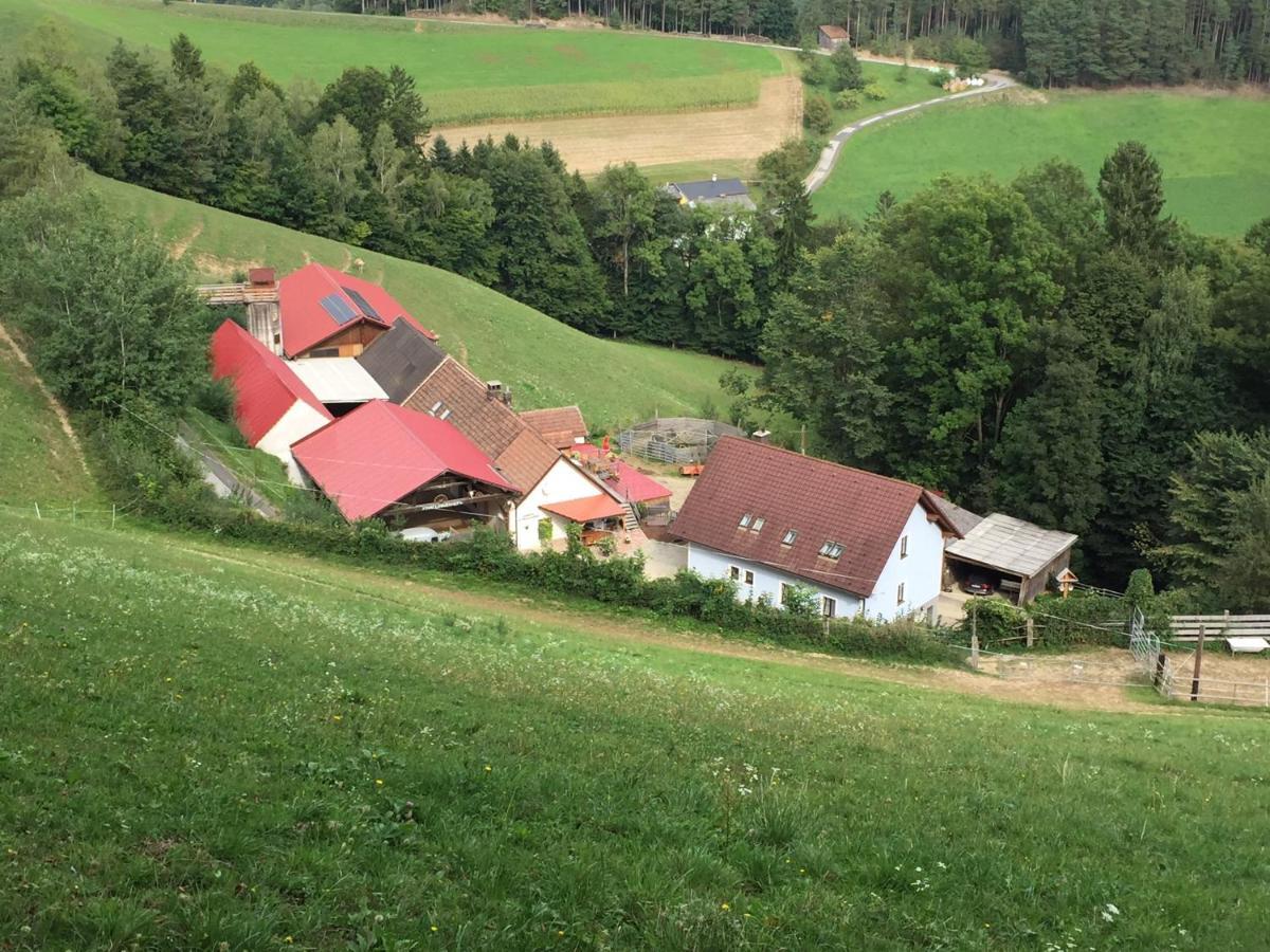 Haflingerhof Luef Villa Bad Schonau Exterior photo